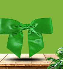 Satin pre-tied bow - Vert Emeraude