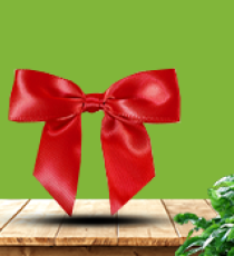 Satin pre-tied bow - Rouge