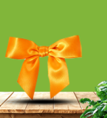 Satin pre-tied bow - Orange