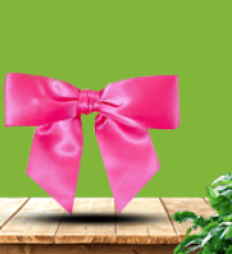 Satin pre-tied bow - Fuchsia