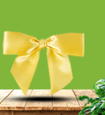 Satin pre-tied bow - Citron