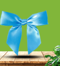 Satin pre-tied bow - Blue Island