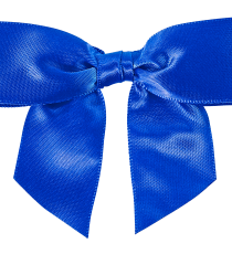 Satin pre-tied Bows and Twist Ties