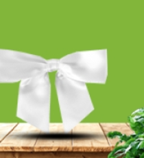 Satin pre-tied bow - Blanc
